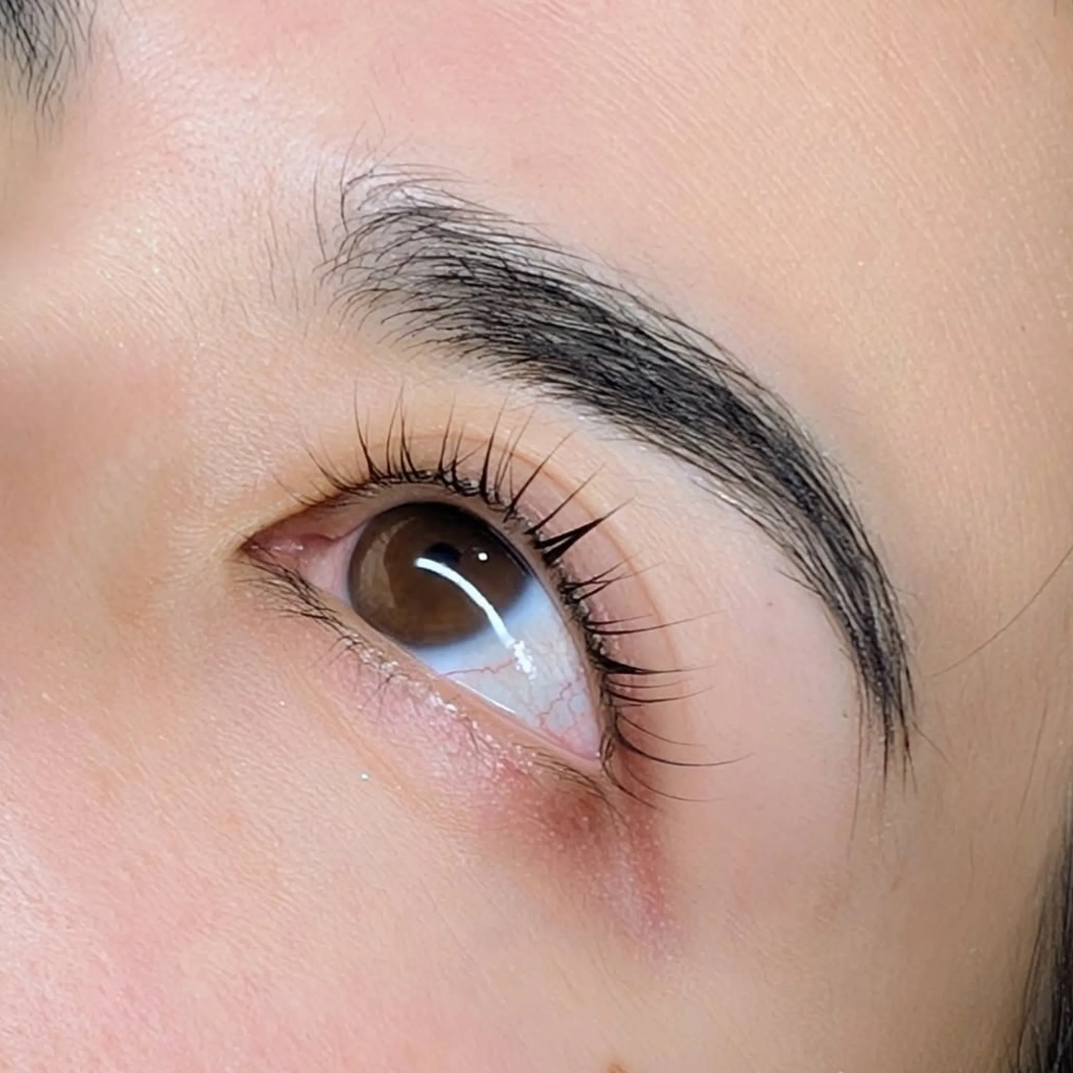 laminated brows and lifted lashes