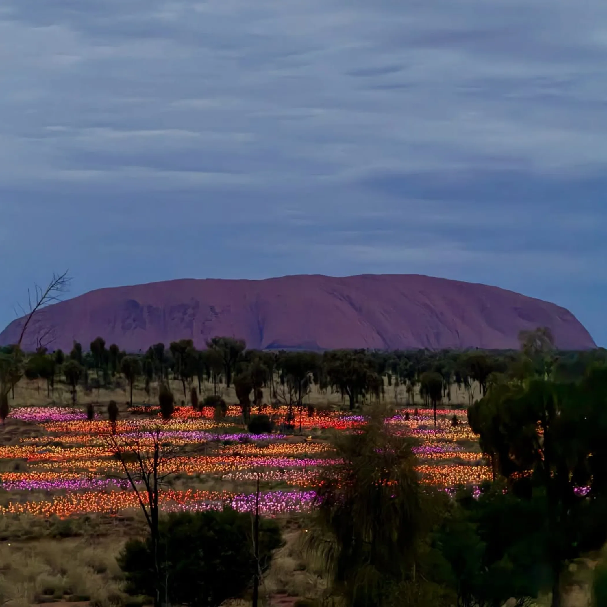 uluru with illuminated flower-like lights