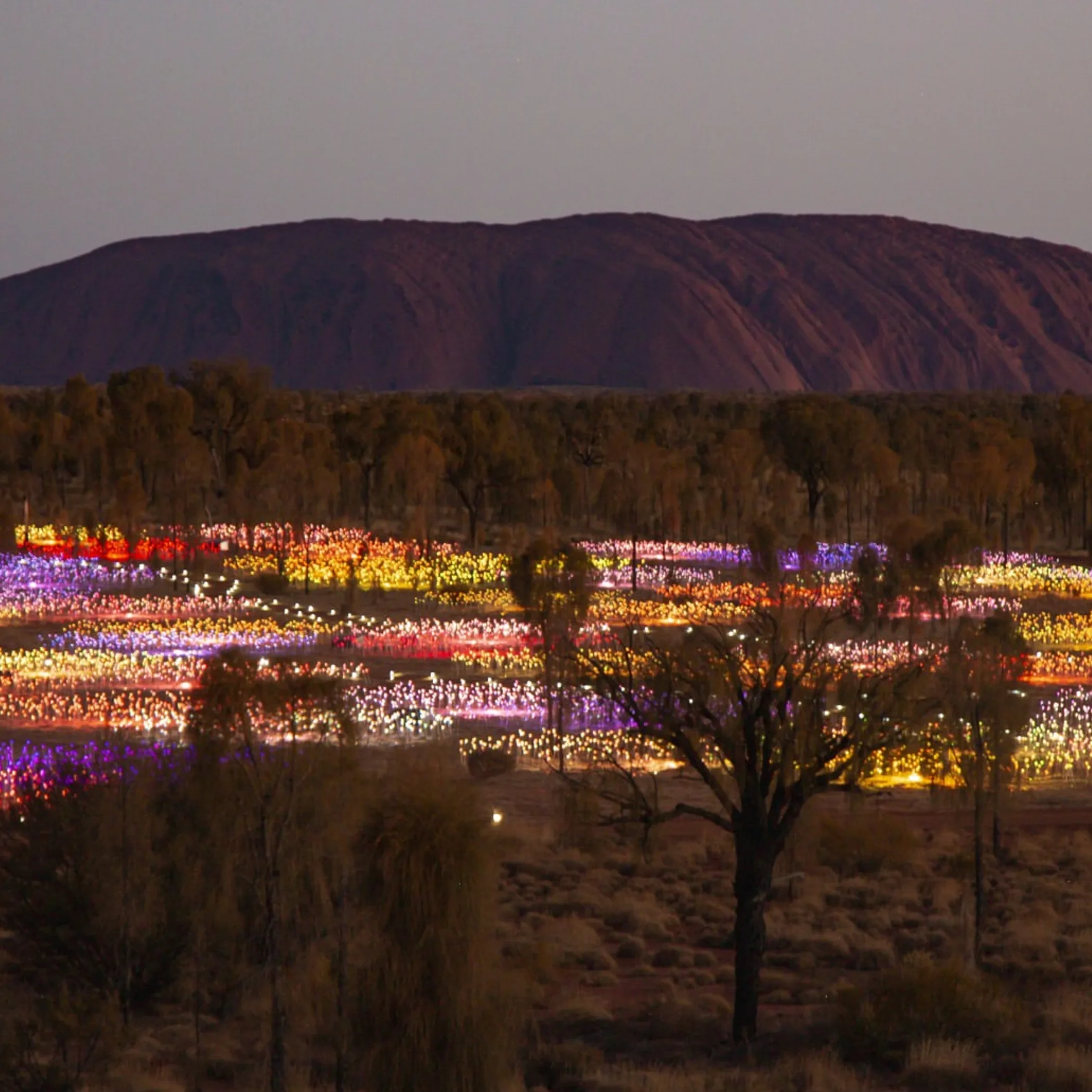 uluru field of light experience